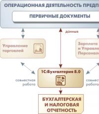 Принципы ведения учета Эргономичный пользовательский интерфейс