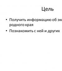 Готовый проект экономика родного края